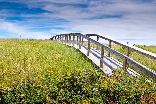 Sandwich Boardwalk