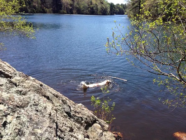Breakheart Reservation