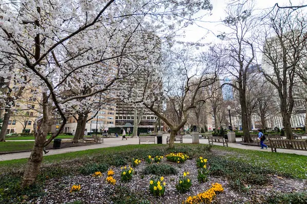 Rittenhouse Square