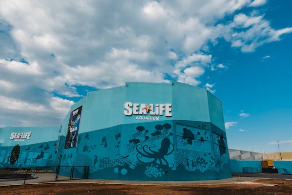 SEA LIFE Charlotte-Concord Aquarium