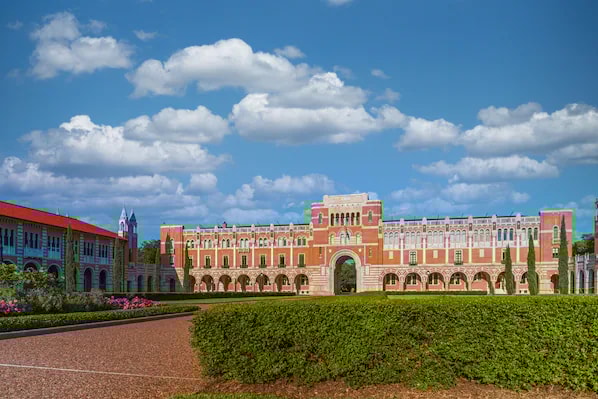 Rice University