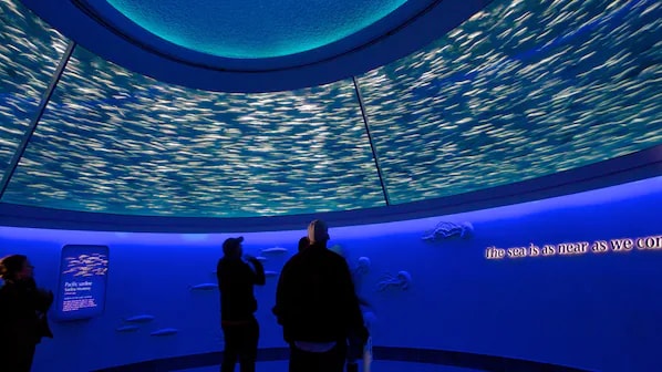 Monterey Bay Aquarium