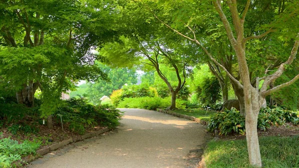 Lewis Ginter Botanical Garden