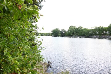 Image of the hotel