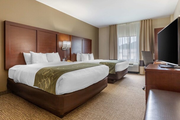Comfort Suites Johnson City near University