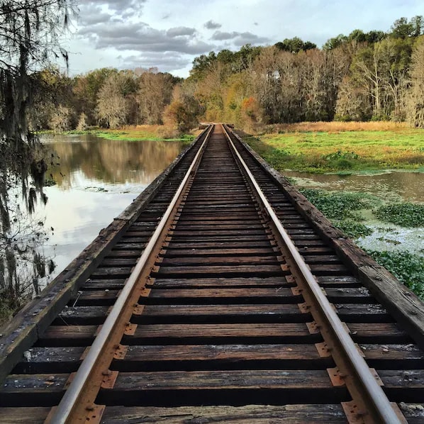 Georgia Veterans State Park