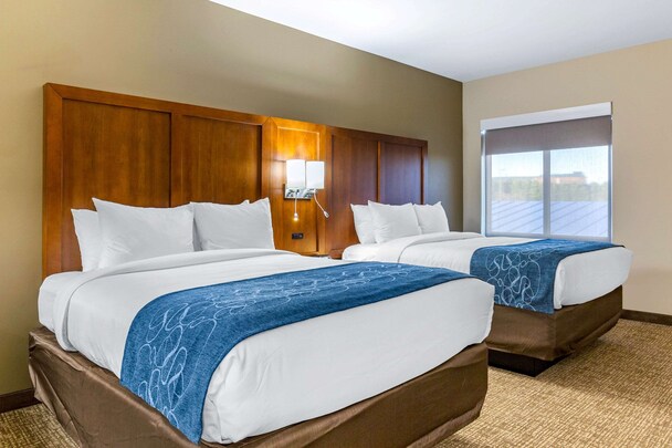 Comfort Suites Greensboro - High Point