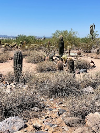 Image of the activity