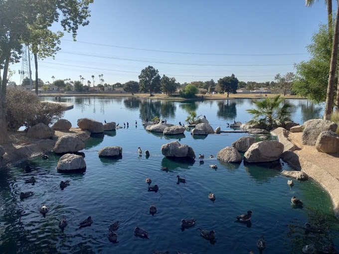 Image of the activity