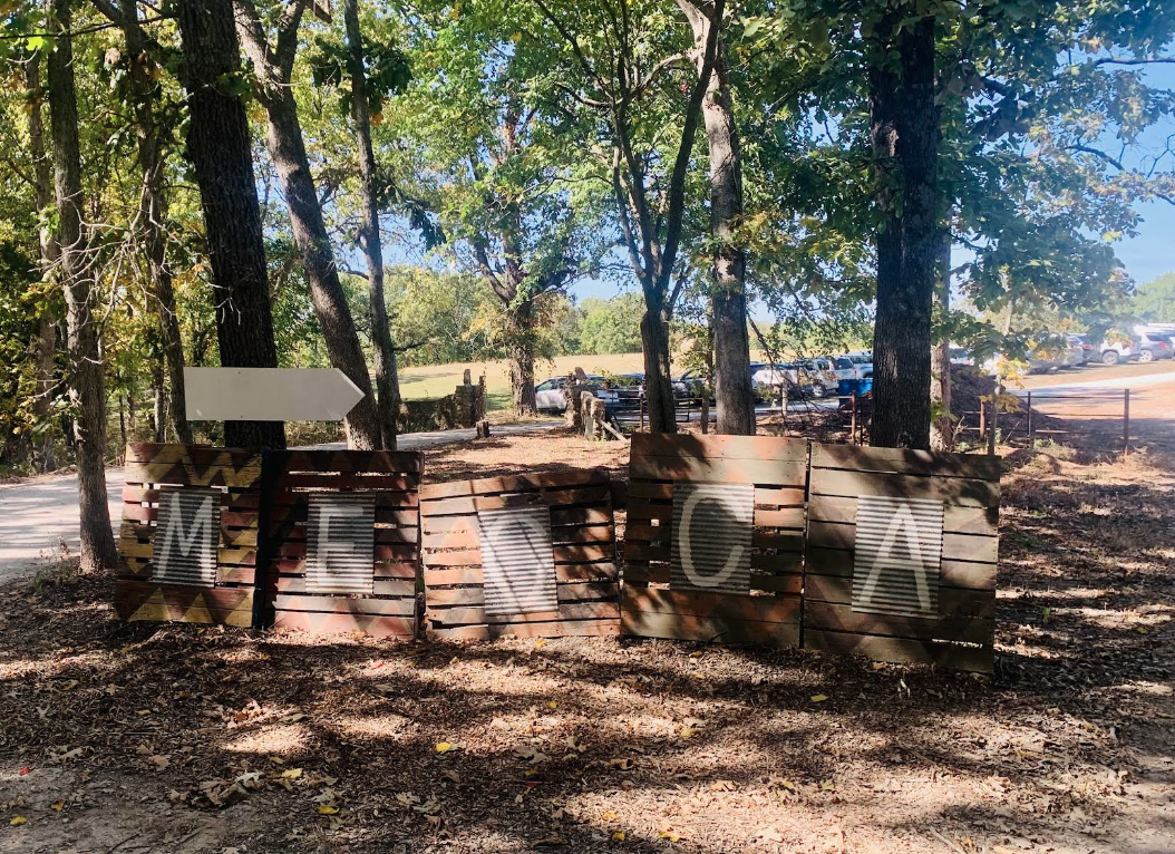 Image of the activity